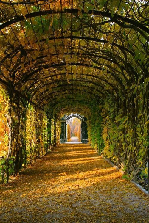 Autumn Tunnel Autumn Tunnel