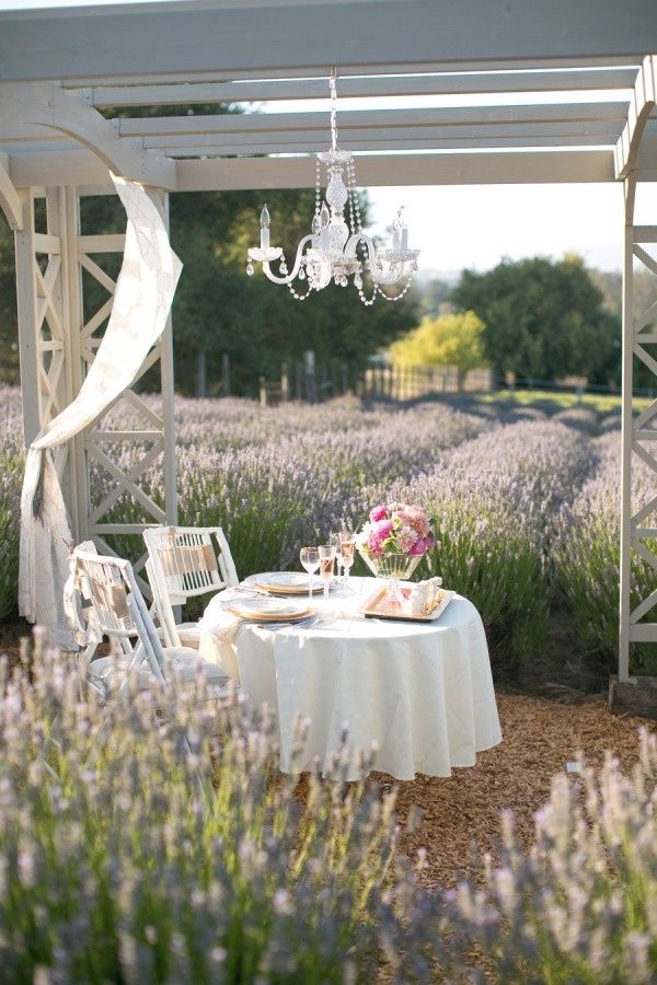 Dining in the Lavender Field