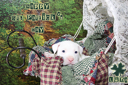 Happy St Patricks Day