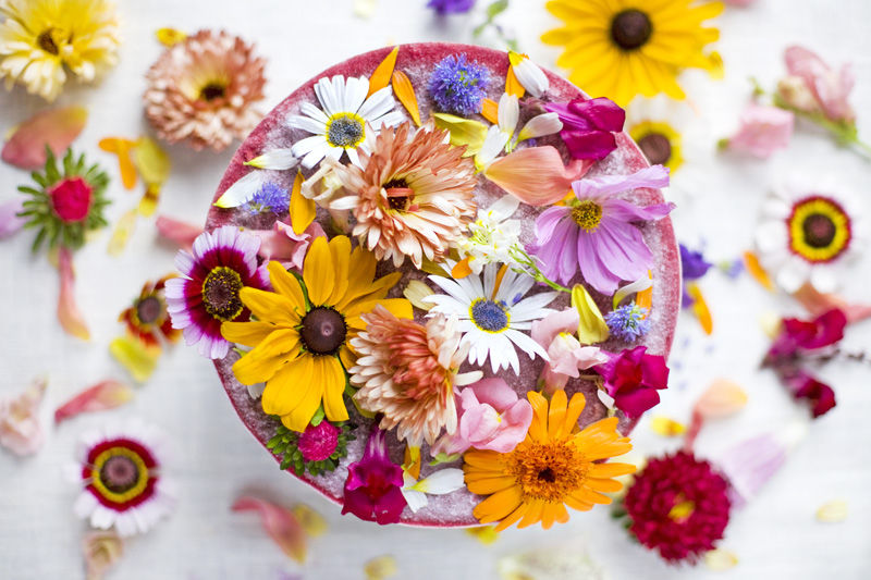 Bowl of Wildflowers Bowl of Wildflowers