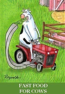 fast food for cows fast food for cows