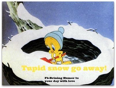 Stupid Snow Stupid Snow