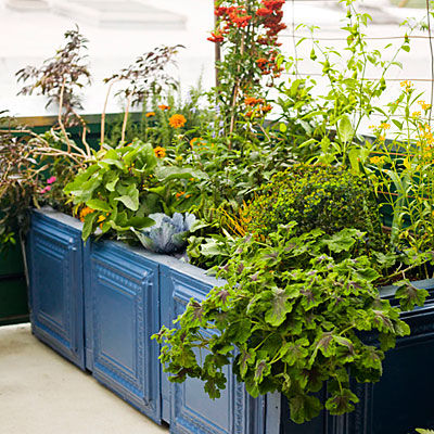 Cute Garden Box