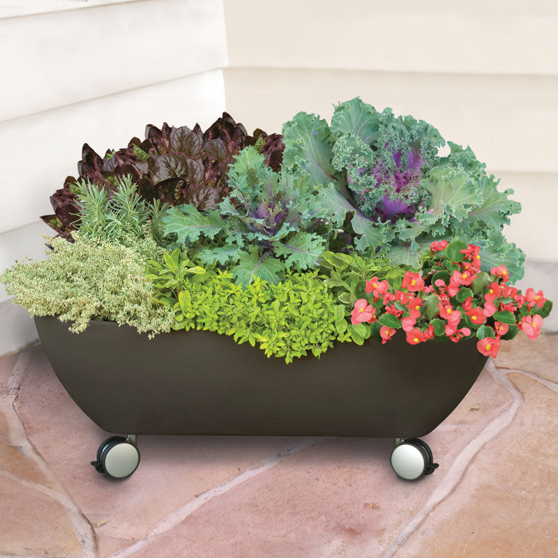 Mobile Patio Garden Mobile Patio Garden