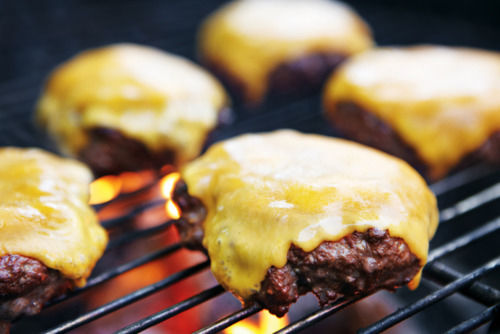 Cheese burger