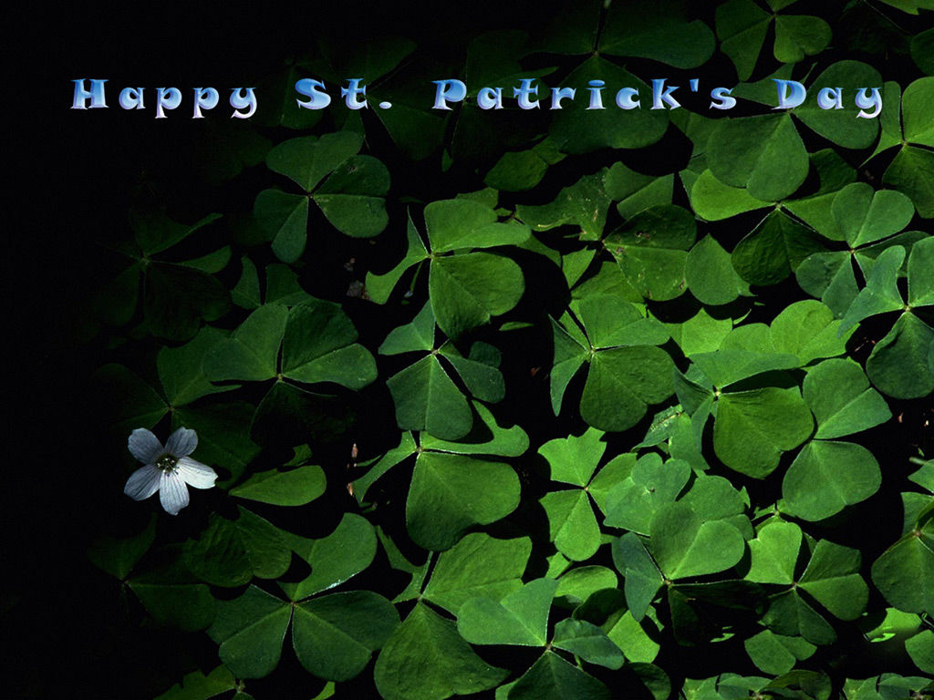 Happy St Patricks Day Happy St Patricks Day