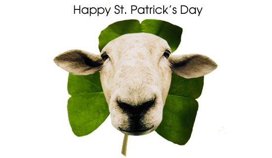 Happy St Patricks Day Happy St Patricks Day
