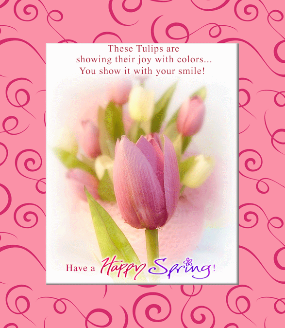 Happy Spring Happy Spring