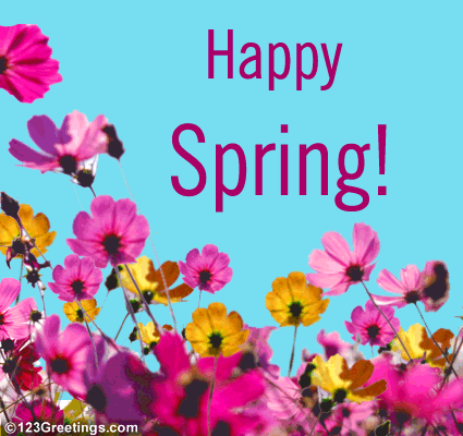Happy Spring Happy Spring