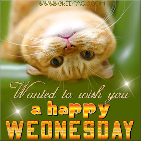 A happy wednesday A happy wednesday