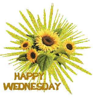 Happy Wednesday