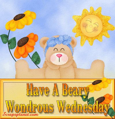 Have a beary wondrous Wednesday Have a beary wondrous Wednesday