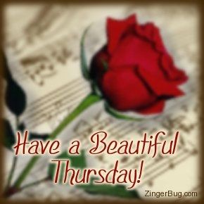 Have a beautiful thursday Have a beautiful thursday