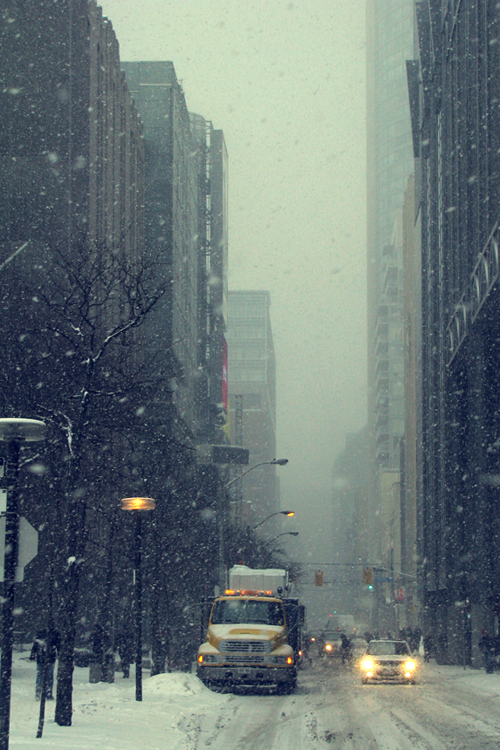 Nature & Snow