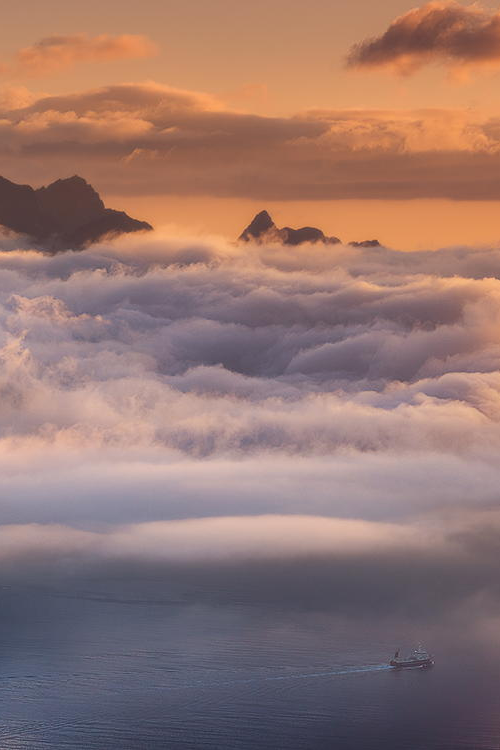 Amazing Photo