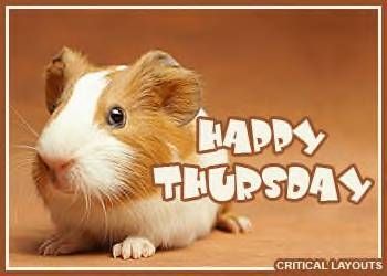 Happy Thursday