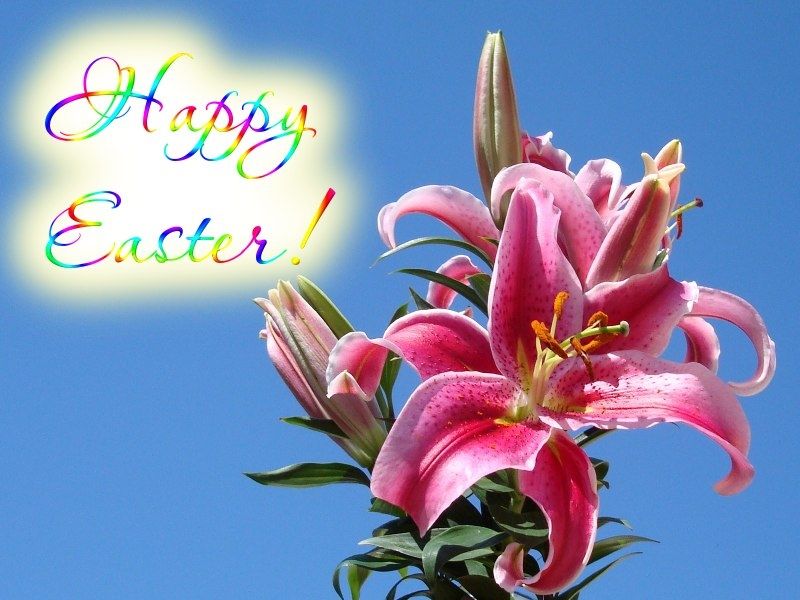 Happy Easter