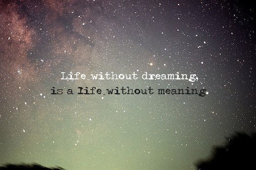 Life without dreaming