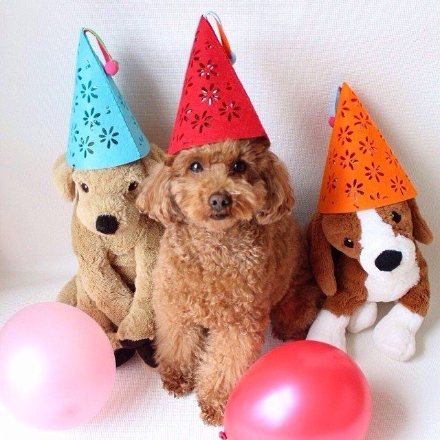 Birthday friends