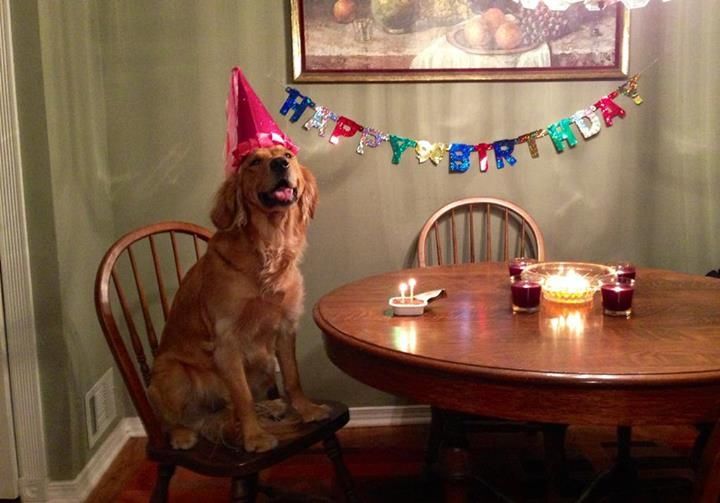 Birthday boy Birthday boy