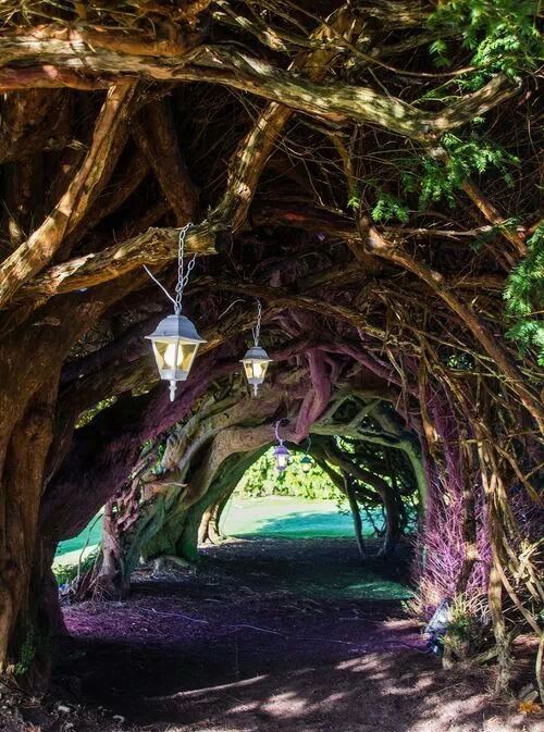 Hidden pathway