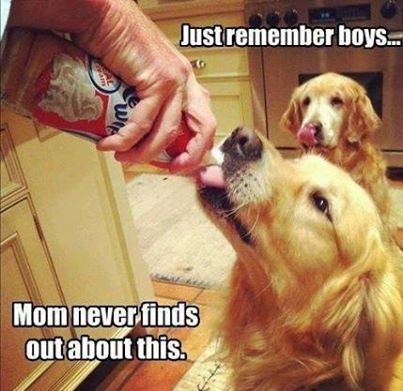 Mom never finds out Mom never finds out