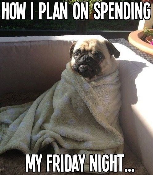 How I Spend Friday Nights How I Spend Friday Nights