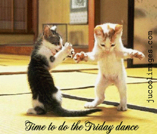 Time to do the friday dance