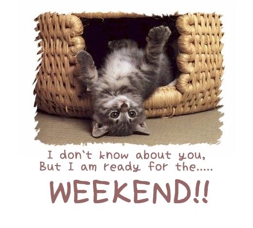 I am ready for the weekend