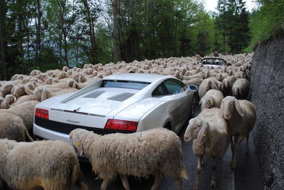 Laaamborghini!! Laaamborghini!!