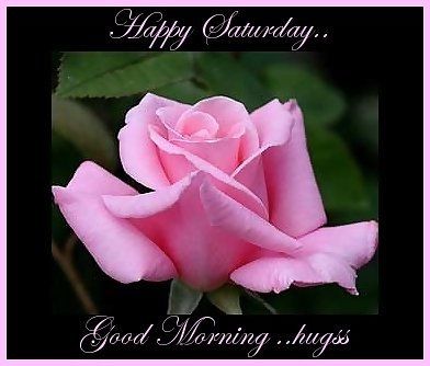 Happy Saturday Happy Saturday