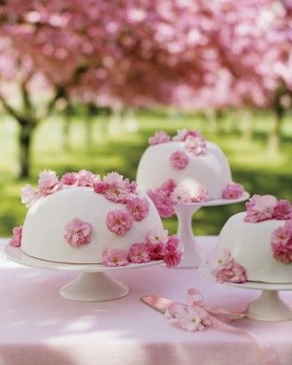 Cherry blossom princess cake Cherry blossom princess cake