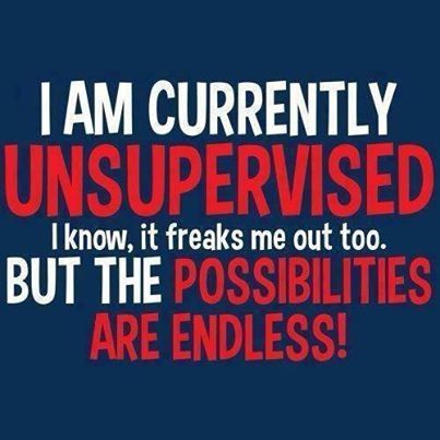 unsupervised