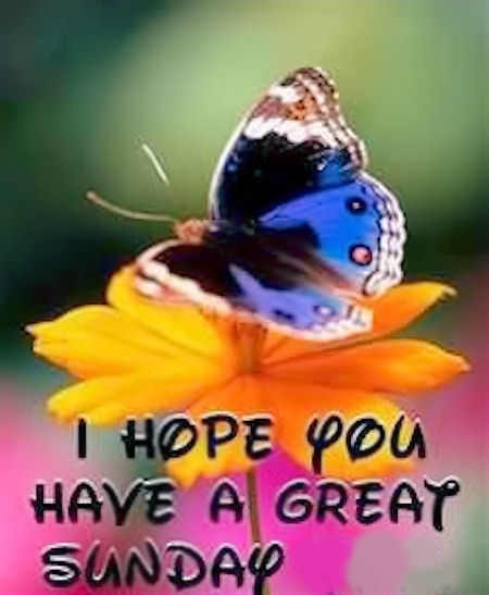 Have a great Sunday