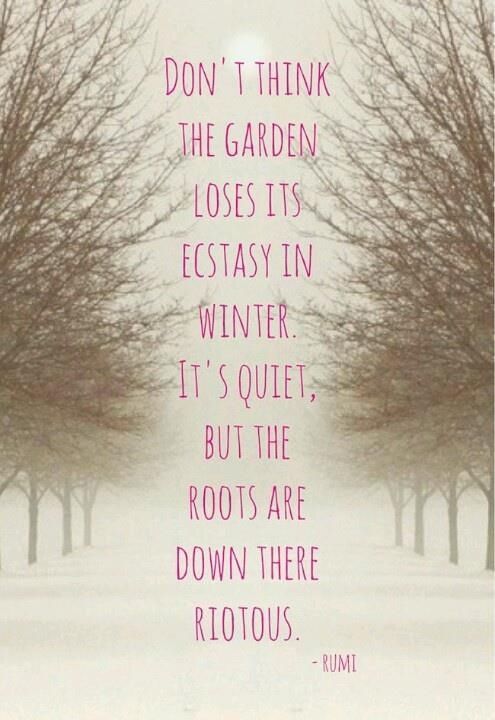 Don't think the garden loses it's ecstasy in winter, Don't think the garden loses it's ecstasy in winter,