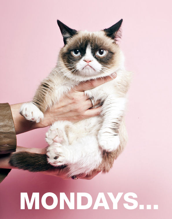 Mondays Mondays