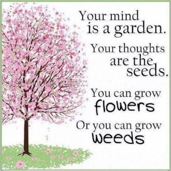 Your mind is a garden...
