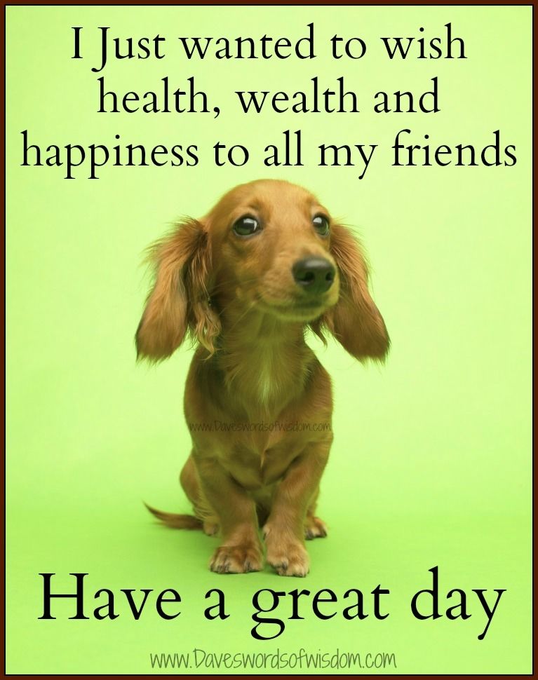 Have a great day Have a great day