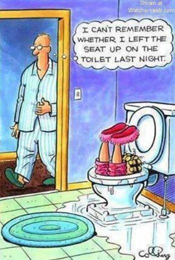 Left the seat up