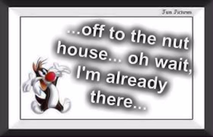 Off to the nuthouse