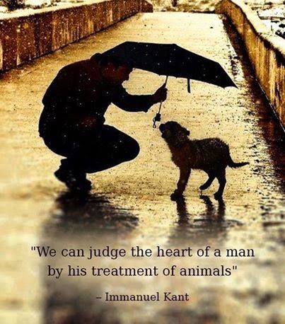 treatment of animals treatment of animals