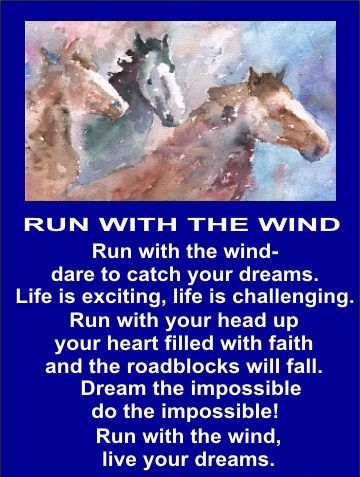 Run with the wind Run with the wind