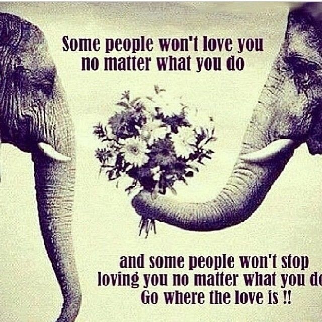 Go where the love is Go where the love is