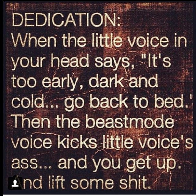 Dedication 