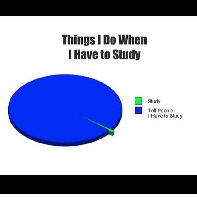 Things I do when I have to study Things I do when I have to study