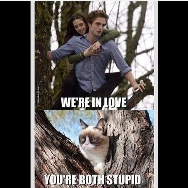 Were in love, youre both stupid Were in love, youre both stupid