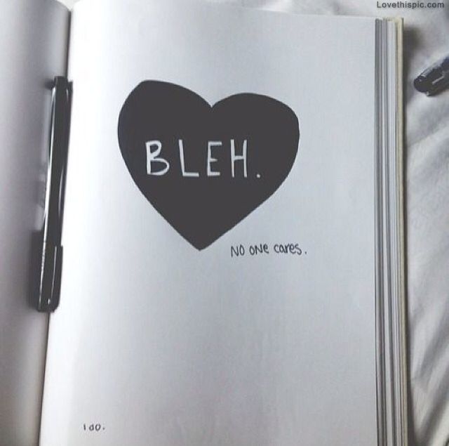 Bleh Bleh
