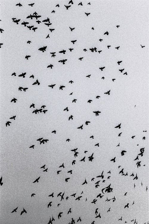 Free
