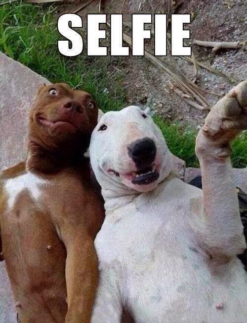 Selfie Selfie