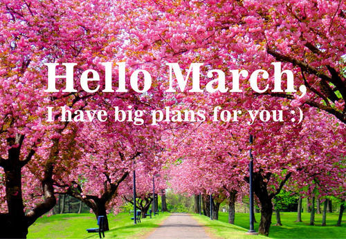 Hello March I have big plans for you Hello March I have big plans for you